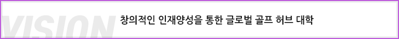 비전