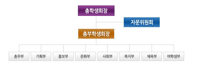 학생회 조직도